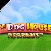 The Dog House Megaways™ screenshot