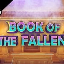Book of the Fallen™